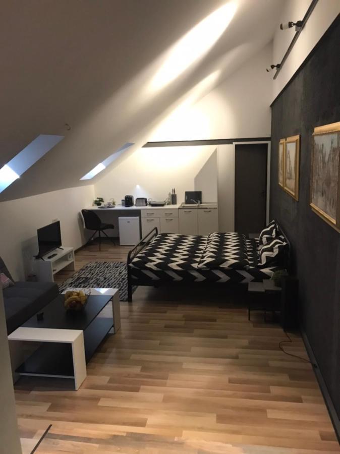 Savoya Nr3 Studio Old City Center Self Check-In Timisoara Exterior photo
